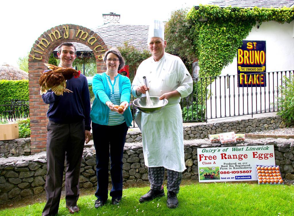 Fitzgeralds Woodlands House Hotel Adare Esterno foto